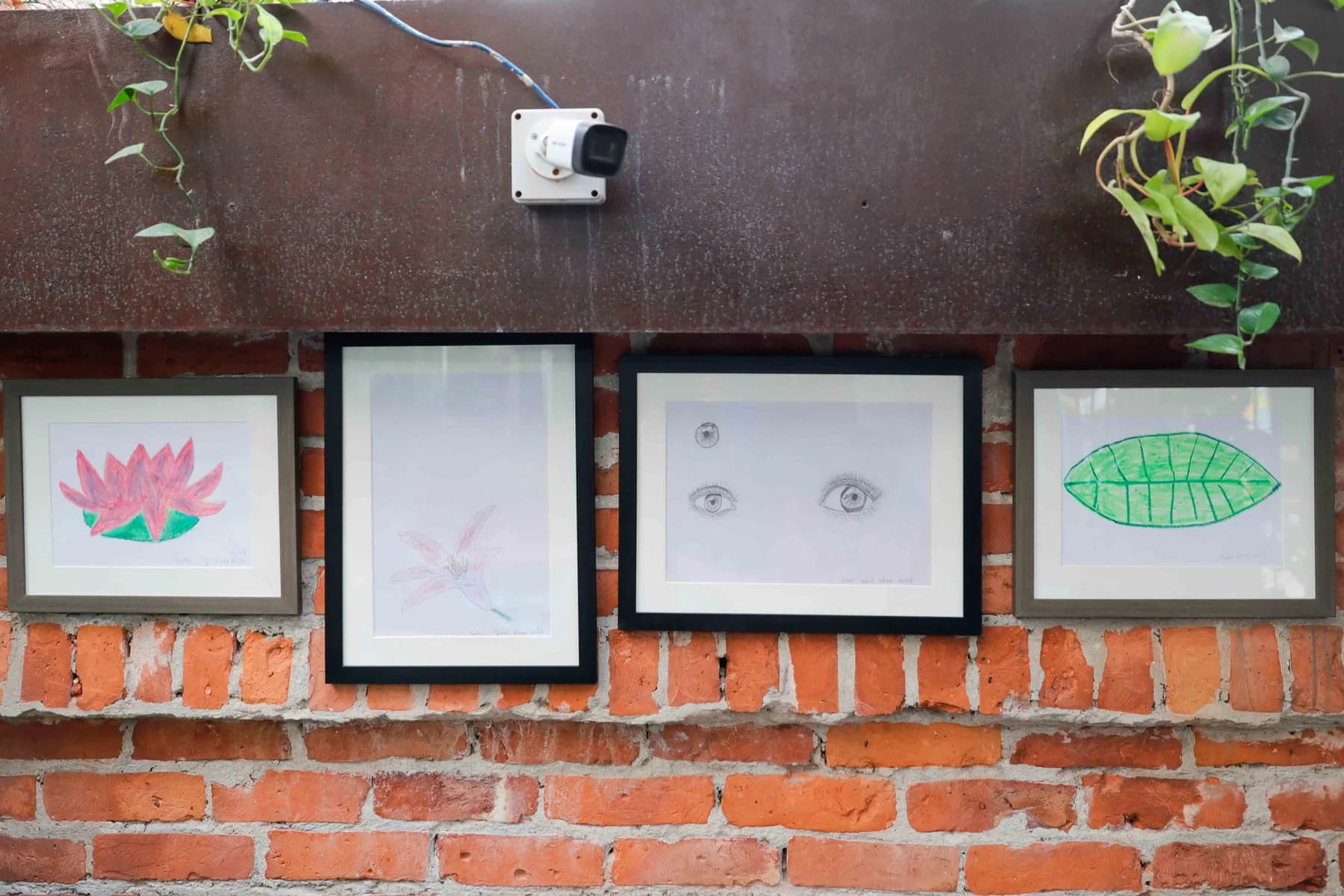 Framed works on the garden wall — Imagination, a presentation of work by Jamil Khan at Gallery Cosmos